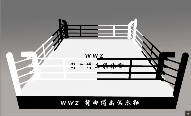 Customer size Commercial gym equipment mma Boxing ring Boxing cage Wresting Ring