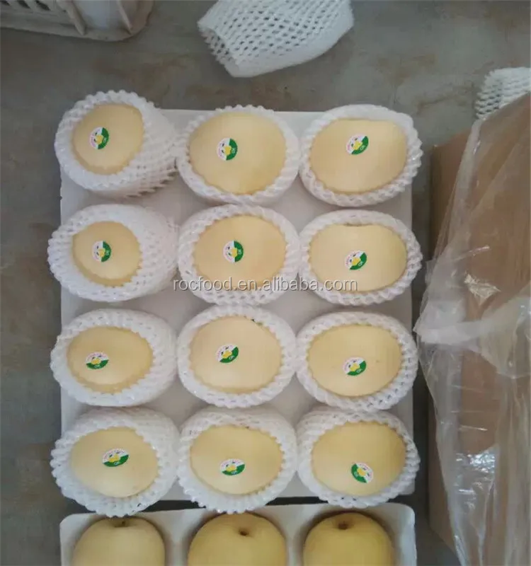  Китайские груши Ya pears