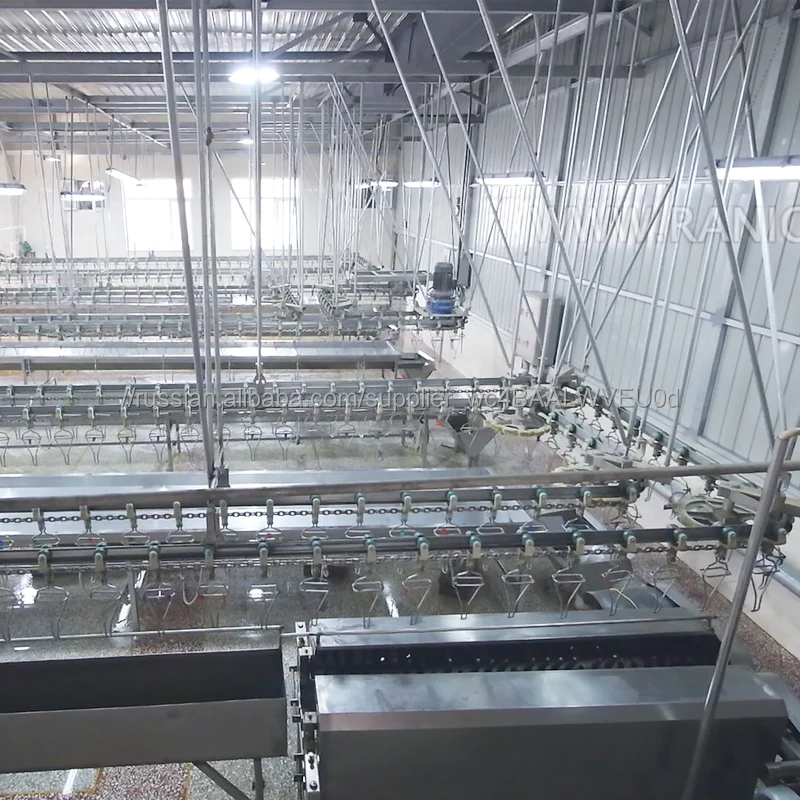 5000 Birds Per Hour Industrial Poultry Feather Plucker Removal Machine