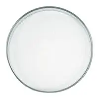 Factory Sodium Metabisulphite Metabisulfite CAS 7681-57-4 Sodium Metabisulfite Price