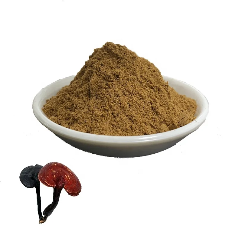 Распродажа! Порошковые органические добавки Ganoderma Lucidum Spore для клеточных стен