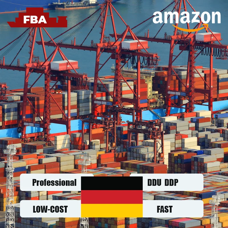 Customs Clearance Service Sea shipping forwarder from china Import to