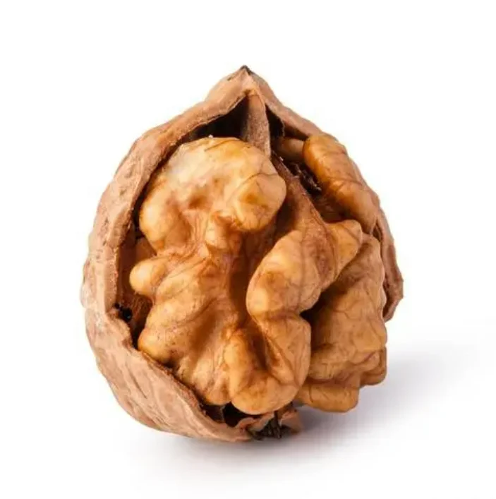 100% Natural Healthy Food Top Quality Organic with Certificate  Walnut