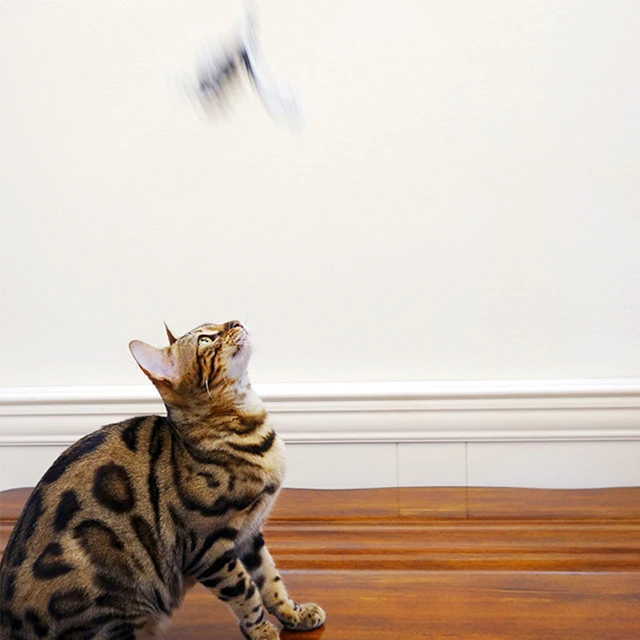 Pet Kitten Cat Feather Wand Funny Teaser Beads Wire Chaser Play Toy Gifts Feline