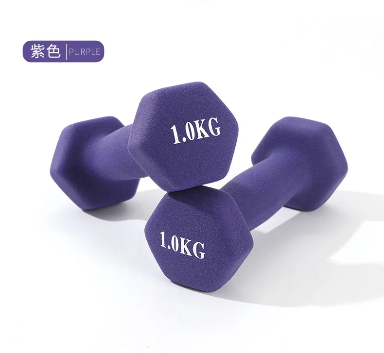 Dumbbell Ladies fitness home for men students children cast iron subbell equipment yoga exercise arm small dumbbells