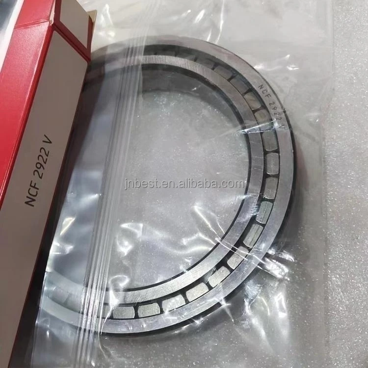 NCF 2220 V Full Complement Cylindrical Roller Bearing SL18 2220 NCF2220 Bearing