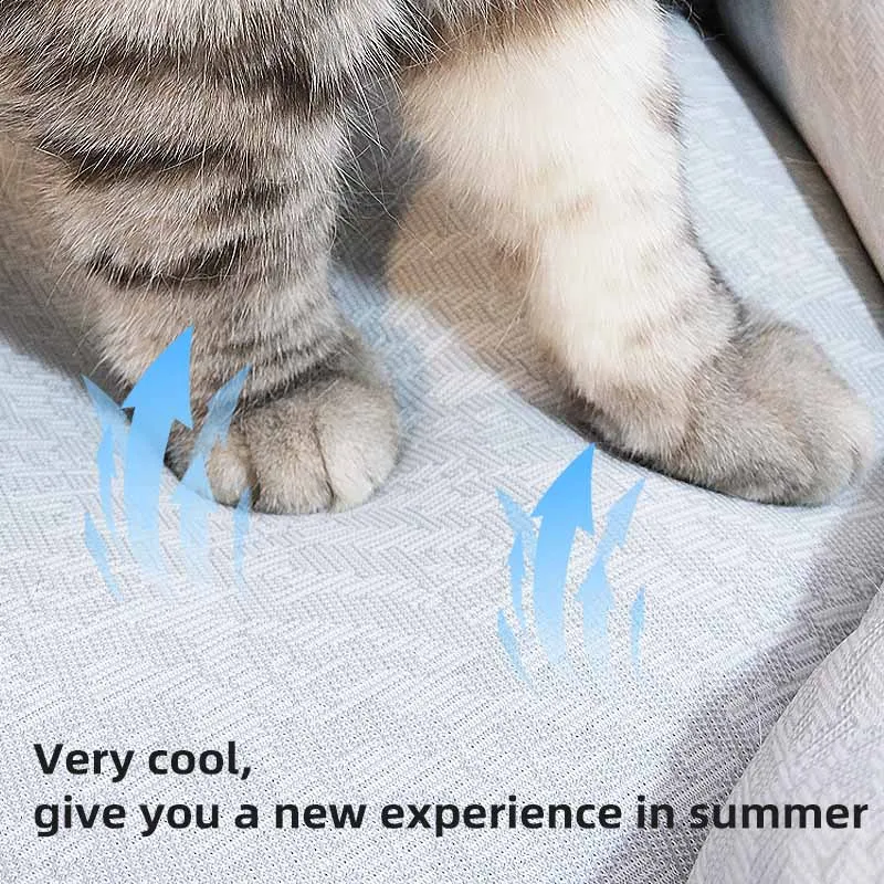 Factory pop-up direct sales high quality corduroy cooling fabric 3D PP cotton dual-purpose cool cat bed