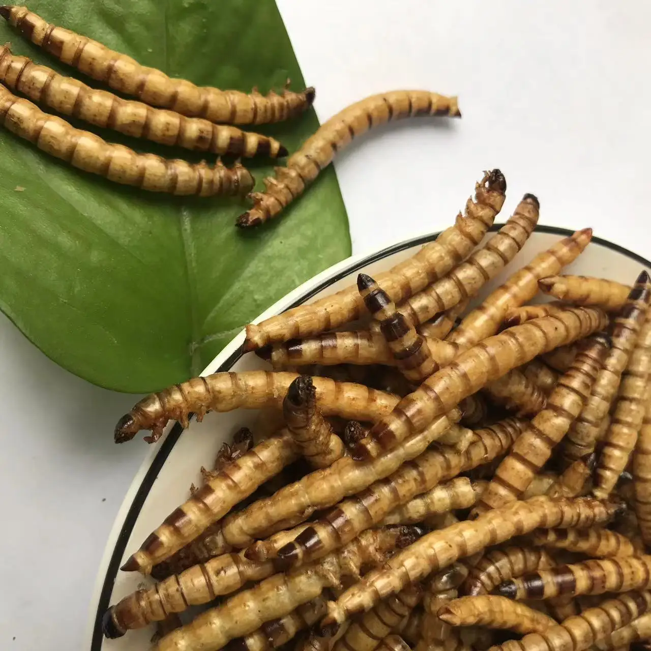 Съедобный суперчервь корм для домашних животных съедобные насекомые сушеный сухая Лига