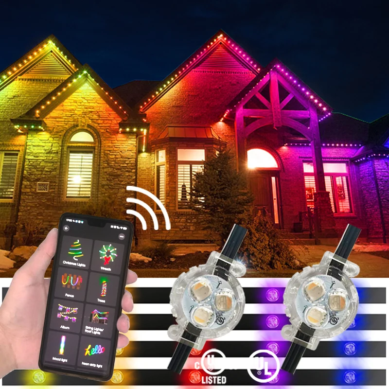 2904 Landscape Point Pixel Led Light Rgb Outdoor Holiday Decoration Dmx512 24V Rgbw Dot Led Permanent Christmas Light