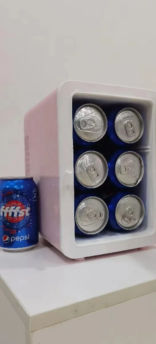 8L beauty small refrigerators customize mini car minibar makeup skincare fridge for cosmetic with mirror