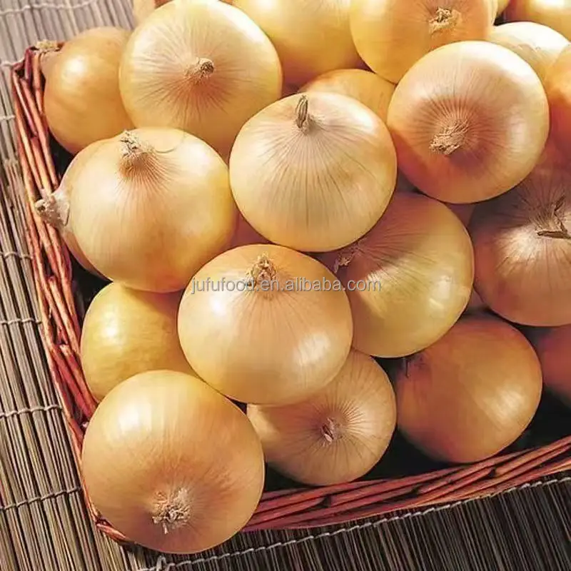 Onion From China Red Yellow Onion Seeds
