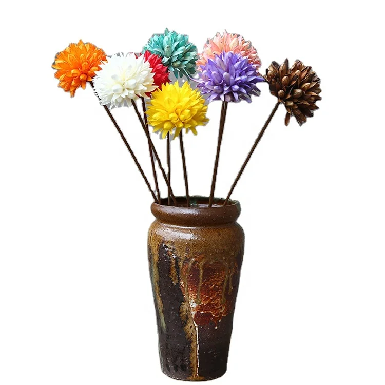 
Chasewin Wholesale Cheap Dried Flowers Dried wooden flower magnolia for Cafe decoration 