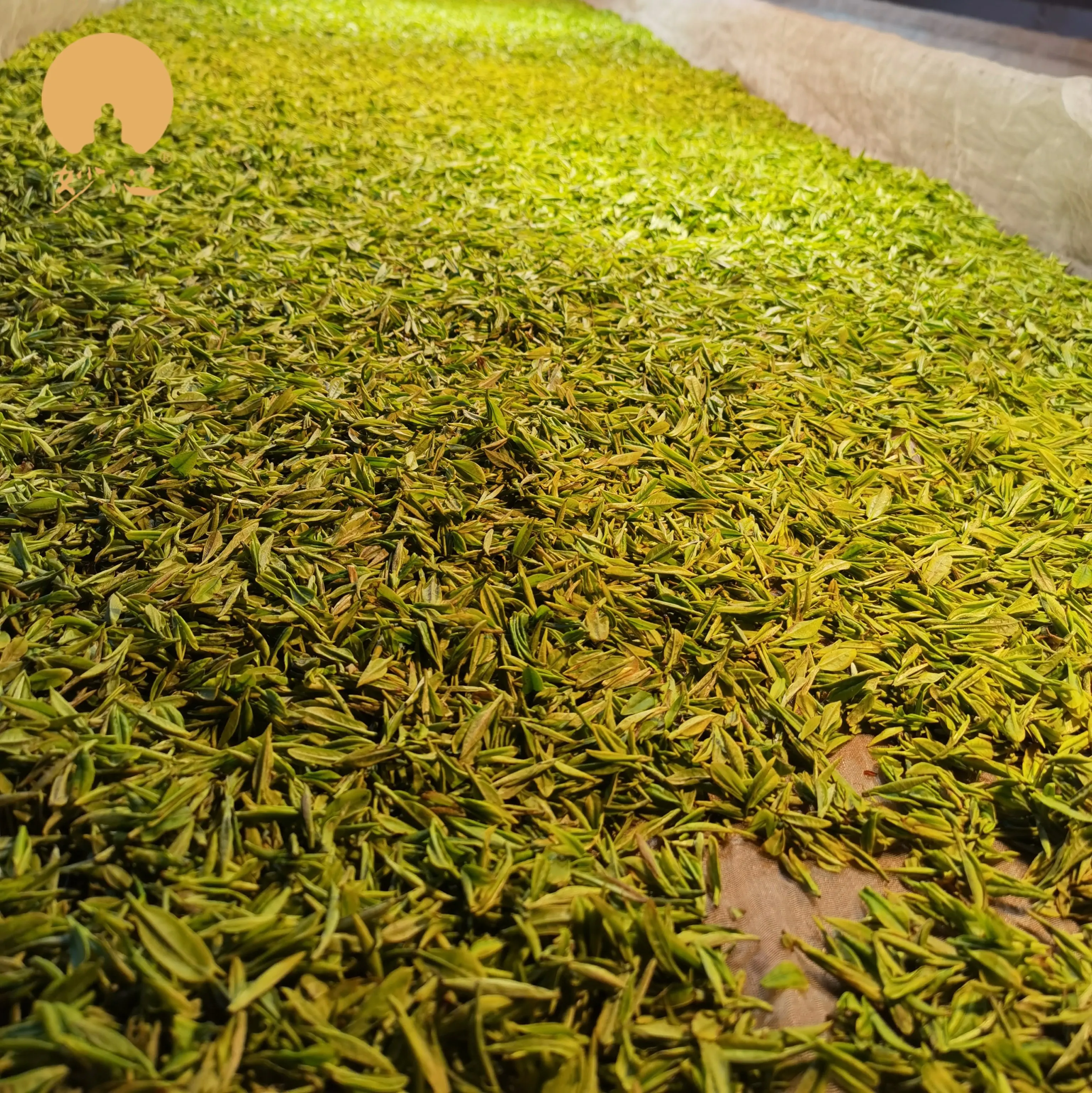 The Taste of World Champion- Miaopin Premium Organic Dried Black Tea Loose Leaf Health Tea Bulk Packed Slimming Tea