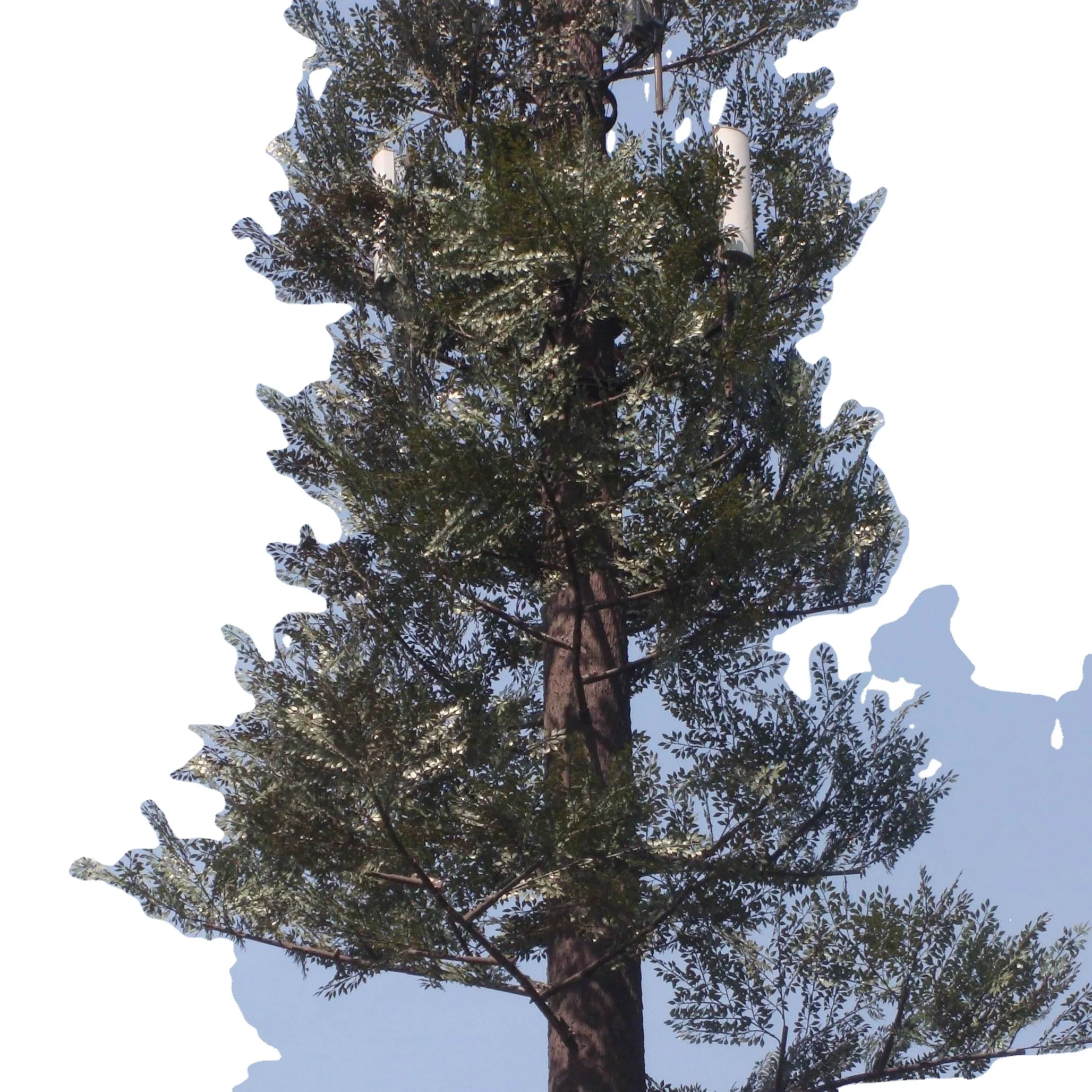 40m Camouflaged Telecom Pine Tree Monopole Tower