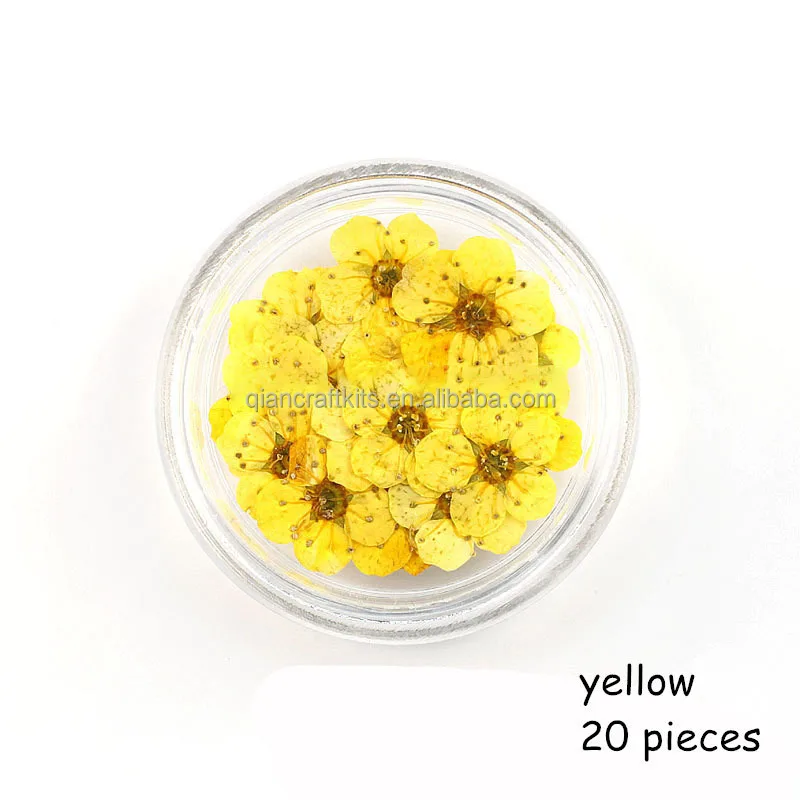 flower (10).jpg