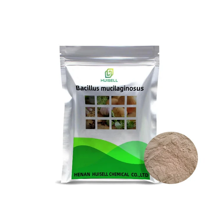 Распродажа биоудобрение микроорганизное удобрение Bacillus Mucilaginosus для сельского