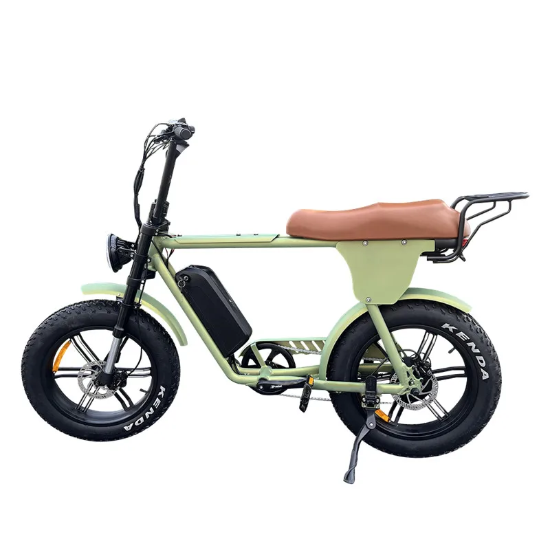 Lantu Ebike classic 48 volt 750w 1000w lithium battery moped style retro electric bikes for Men