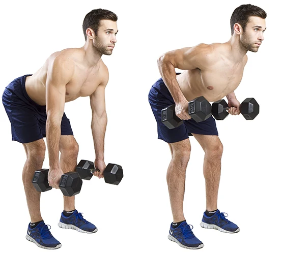 rubber hexagon dumbbell1-50 kg 5-100 lbs  bodybuilding weights gym equipiment fitness hex dumbbells set price