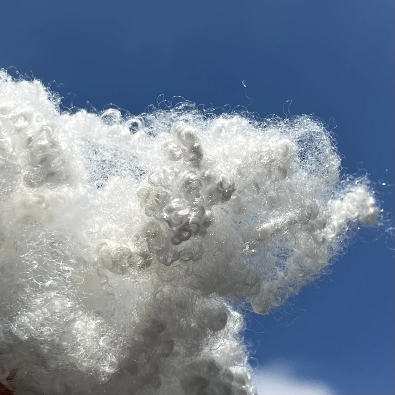 New Island hot selling buy wholesale 7d*64mm HCS virgin polyester staple fiber for fiberfill with lowest price