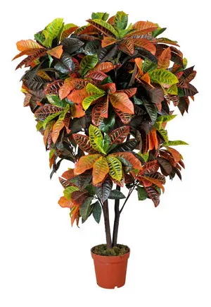 Outdoor decorative Artificial croton plants variegated plant beautiful leaf garden croton bonsai tree