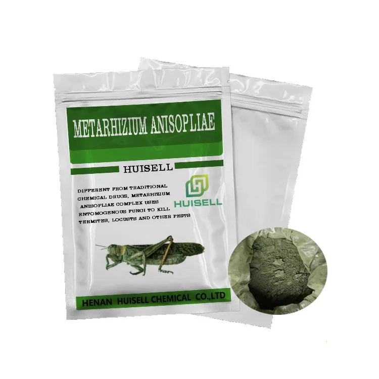 Beauveria Bassiana and Metarhizium anisopliae metarhizium anisopliae idobio