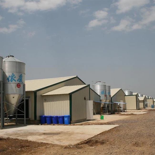 Steel Structure Warehouse Pen Farm Hen Farming Animals Laying Hens Easy Construction Chicken Breeding