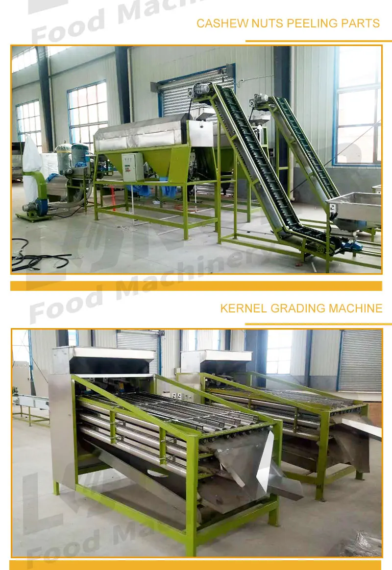 
Automatic Unit Nigeria Cashew Nuts Shelling and Processing Machine Thailand 