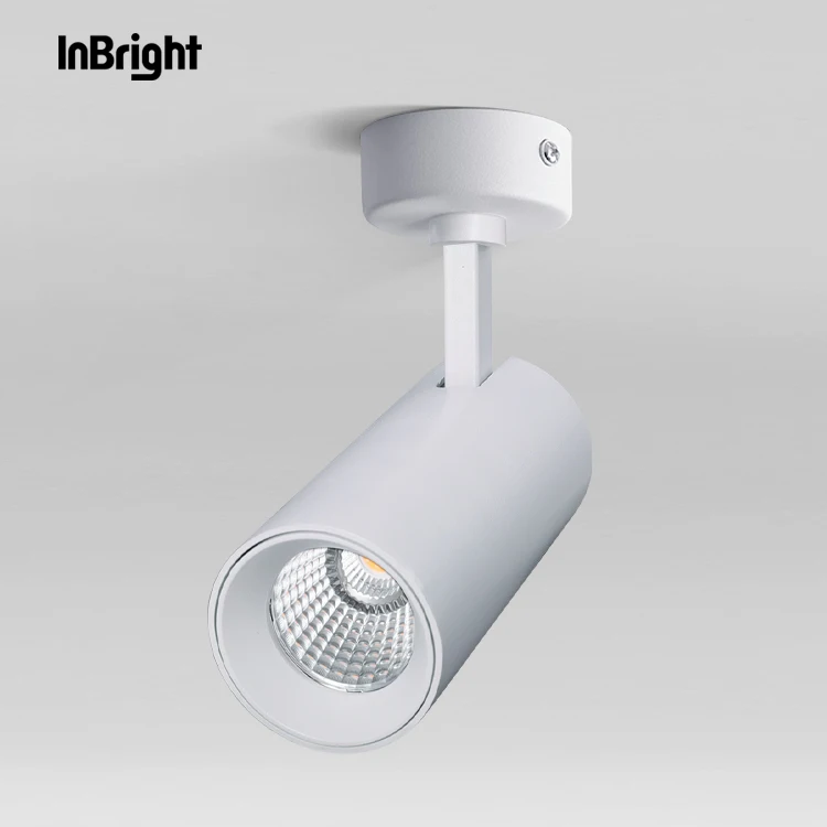 Вращающийся светодиодный потолочный светильник для отеля Dali dimmable 12w 20w 36w IP20 COB Led downlight