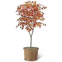 Exportable small artificial maple trees bonsai for project decoration