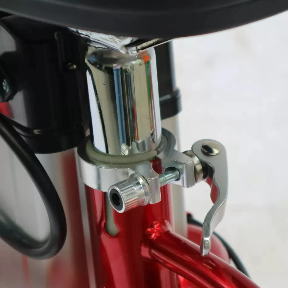 Factory price 14 inch mini ebike 48v 250w foldable charging bike women electric bike
