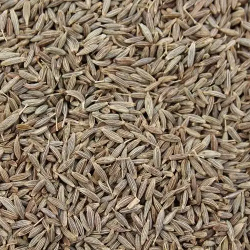 High Quality Wholesale Nature Cumin Seeds