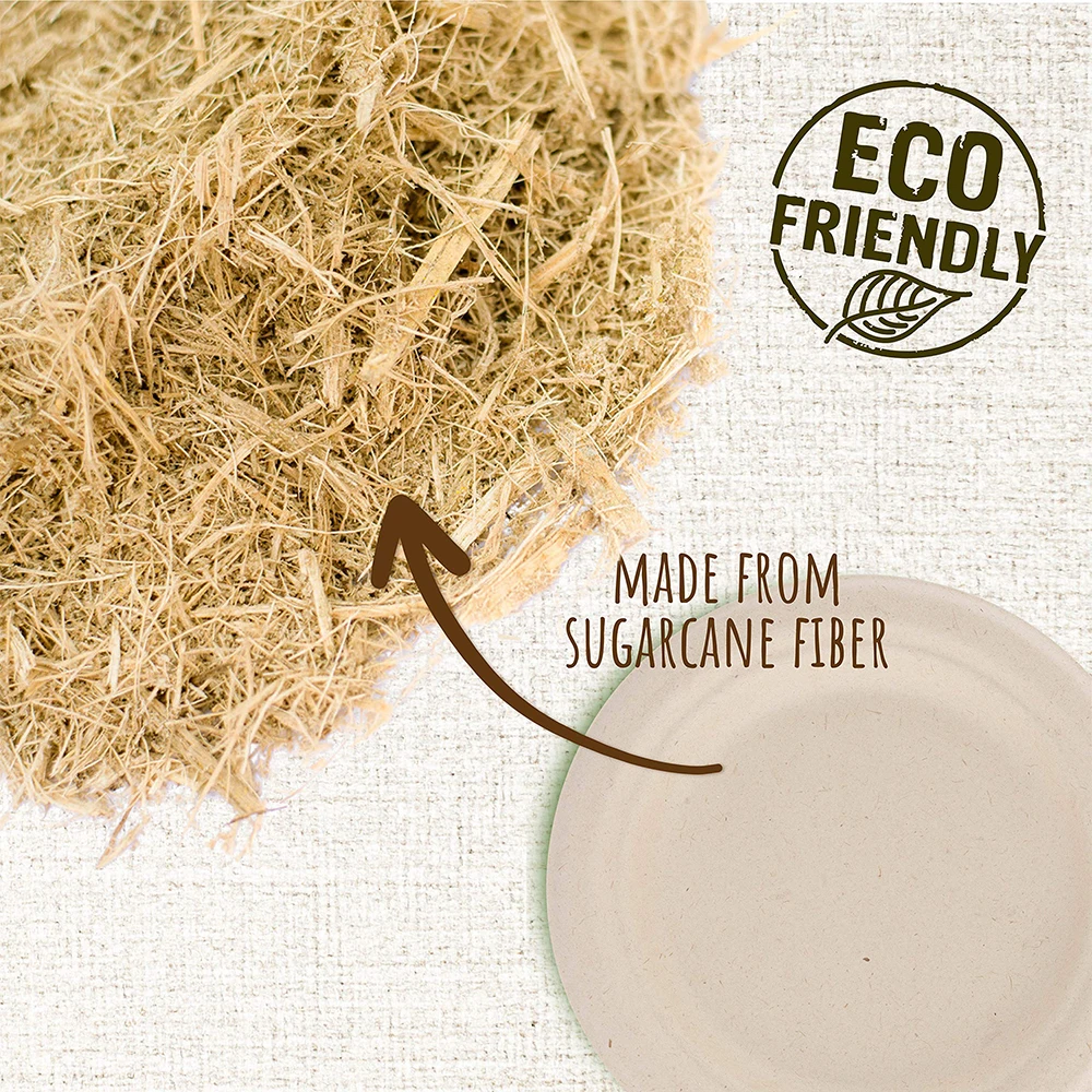 100% Sugarcane Bagasse Fiber Compostable Disposable Round Pizza Natural Green Eco Paper Plates