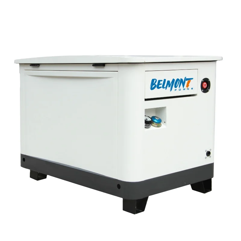 7kw 8kw 14kw 15kw 17.5kv 20kw 22kw 23kw Air Cooled LPG Home Natural lpg generator 10kw Gas Generator for Whole House