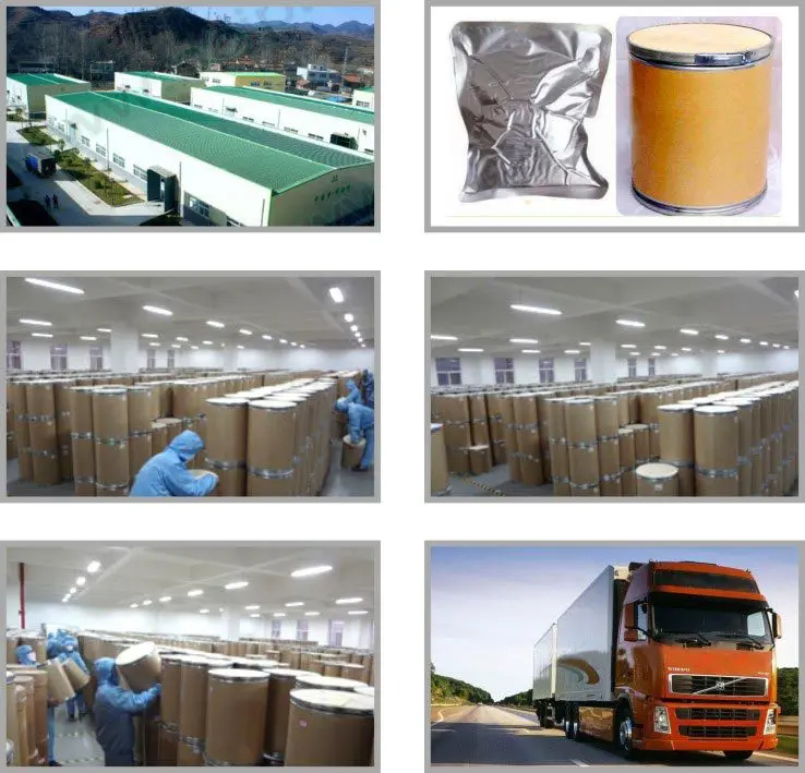 
Factory Supply best price gibberellic acid 98% powder, gibberellic acid ga3 