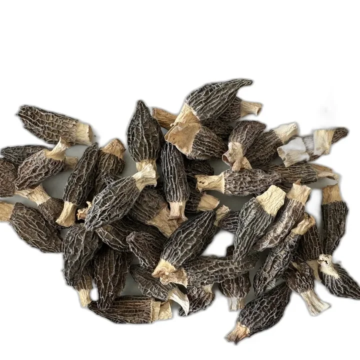 Premium Chinese morel mushrooms, base straight hair, wholesale mushrooms & truffles