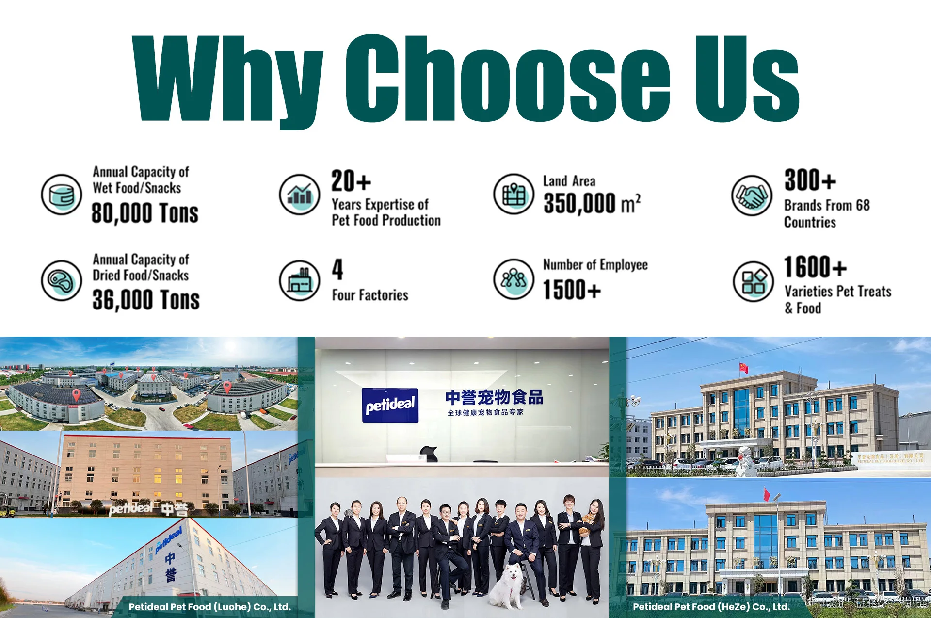 Индивидуальная Марка натуральный лосось сухие закуски для домашних животных поставщик лучшие продажи