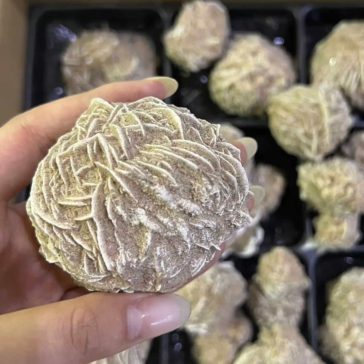 Natural Selenite Desert Rose Raw Crystal Stones Healing Stones Desert Rose For Christmas Decor