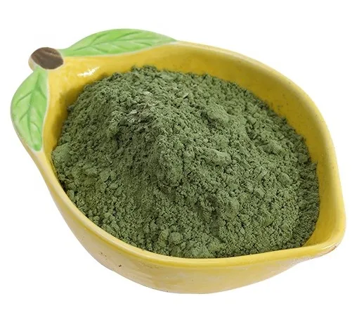 ISO certificate Andrographis Paniculata Plain Powder/Herba Andrographitis Powder