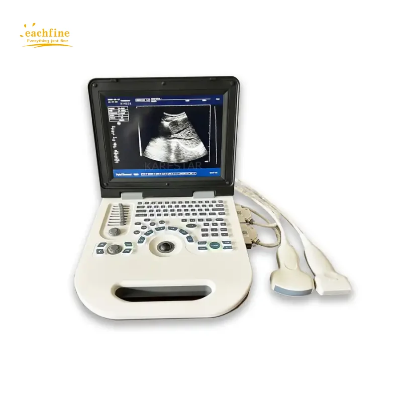 Pet Clinic Portable Veterinary ultrasound machine cheap vet laptop color doppler ultrasound used for Animal pregnancy scanning