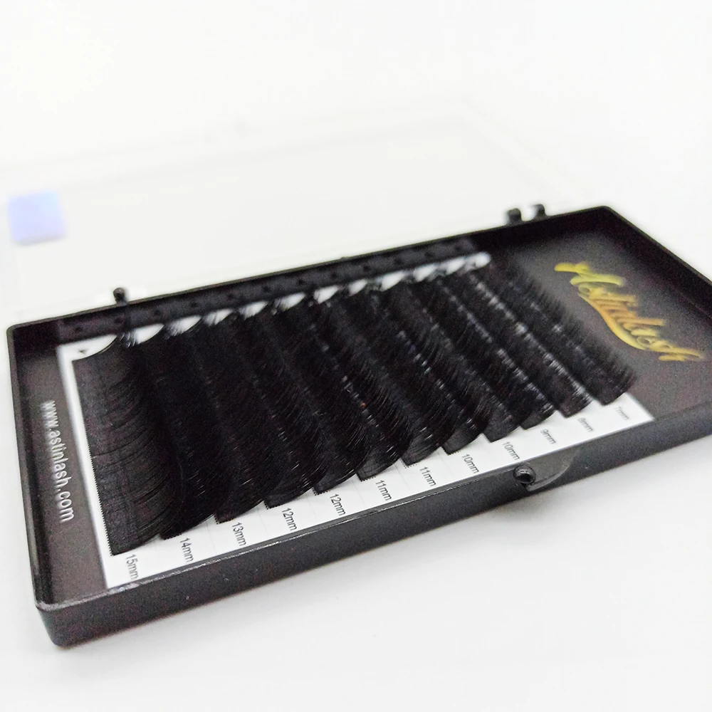 Astinlash False Eyelashes Faux Mink Extensions Korean PBT Fiber Private Label Silk Individual Eyelash Extension Kits