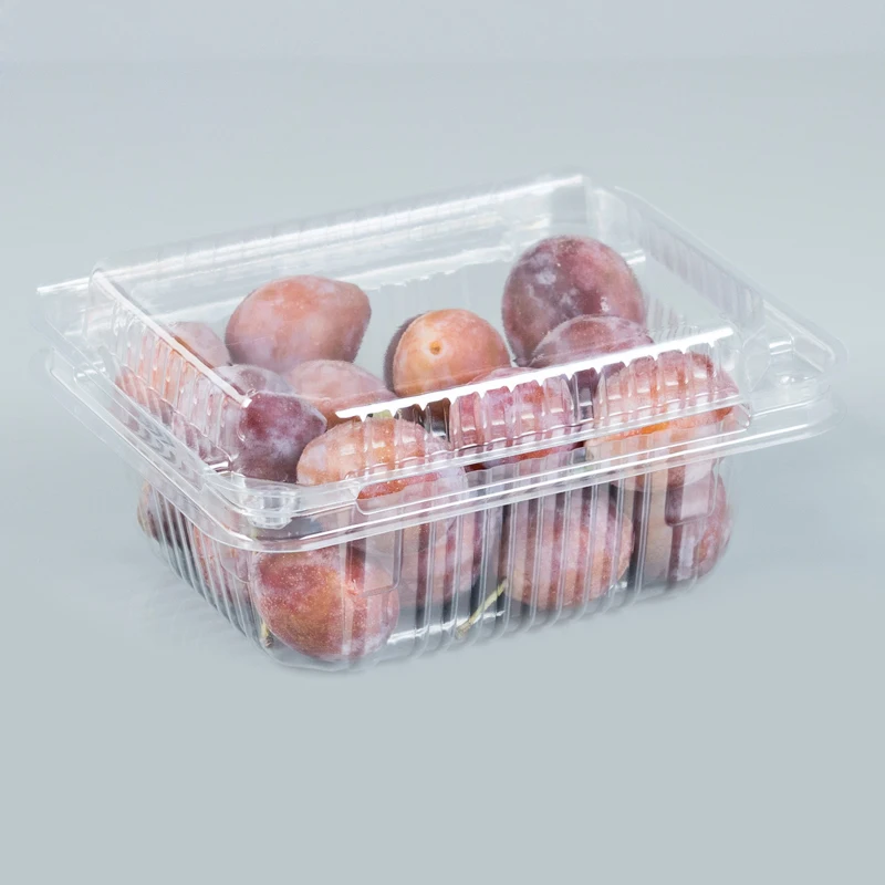 1000g Disposable Transparent PET Fruit Plastic Clamshell Customized Packaging Box for Fresh Fruits and Vegetables
