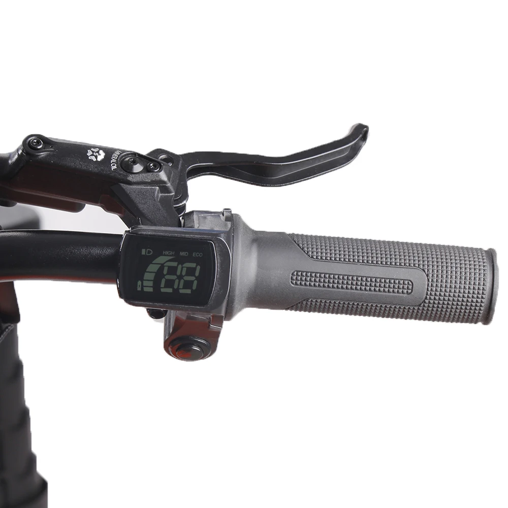 hot 20inch Spoke CN round stainless steel Hydraulic adjustable fork Lithium Battery Electric balance bike