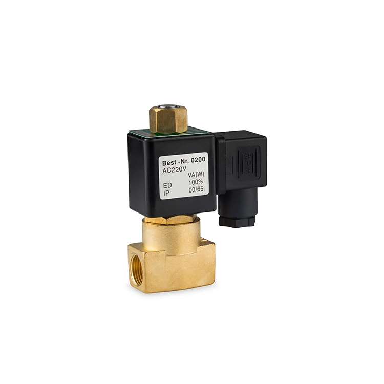 stainless steel brass AC DC copper coil 24v 220v air steam thread G solenoid valve