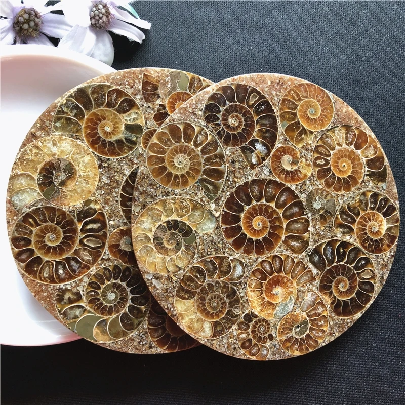 natural Madagascar ammonite plate coaster mineral specimens fossils feng shui compass for decoration