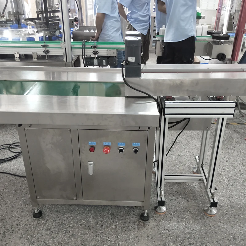 LIENM 3m 4m 6m 8m 10m Stainless Steel Conveyor For Packing Production Assembly Line Belt Conveyor Systems