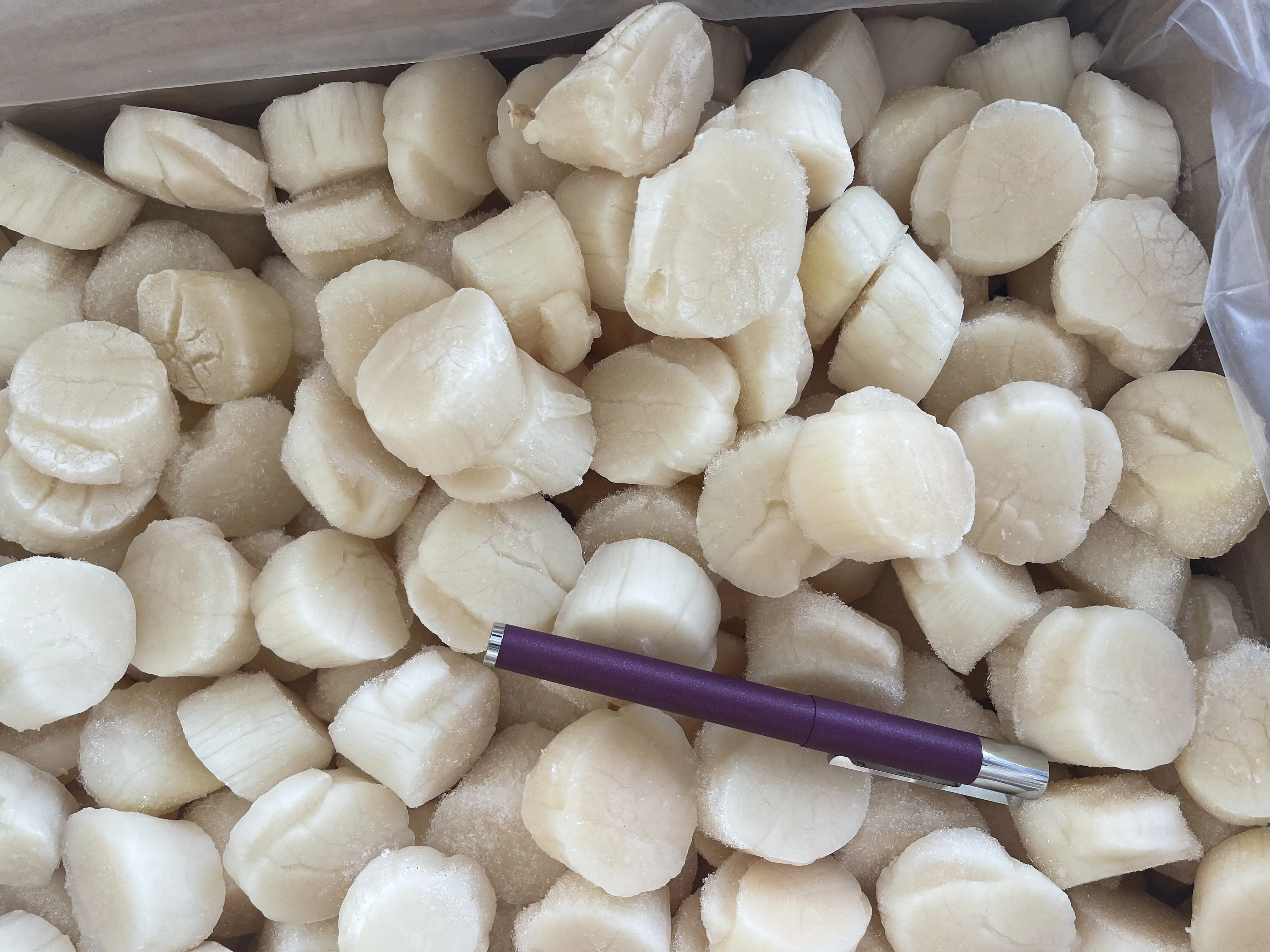 Good Price Seafood IQF Frozen Japanese Scallop Meat with Competitive Price