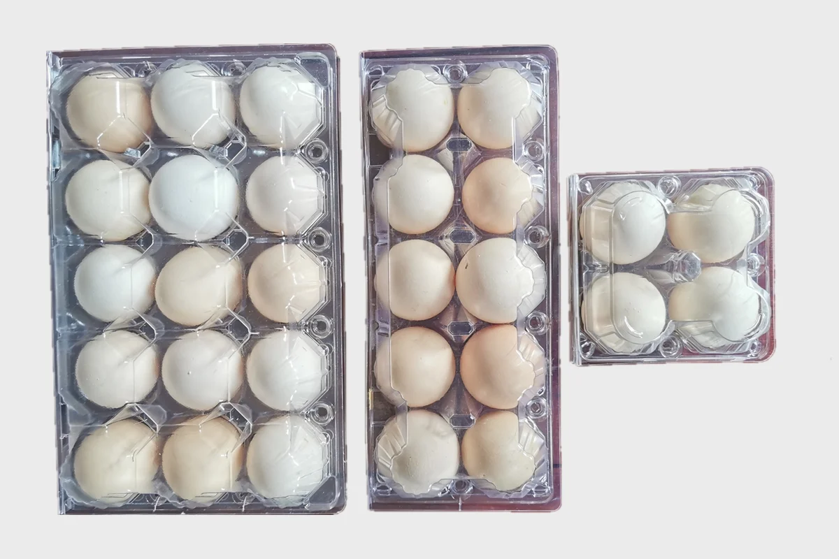 Disposable take away tableware machine  / Automatic cups/boxes/plates/containers Plastic Thermoforming machine