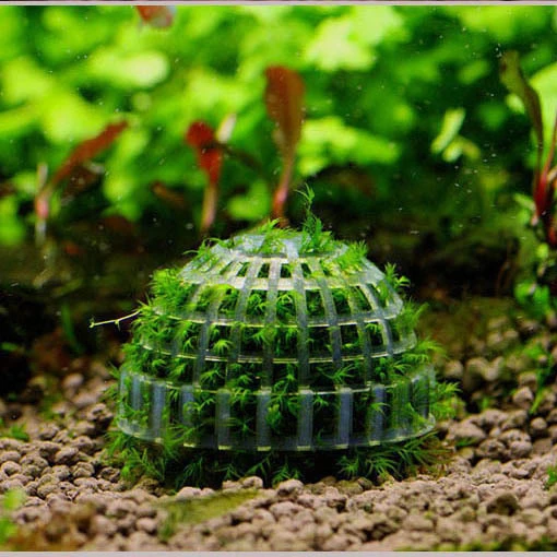 HQP-AQ06 HongQiang Plastic Marimo Moss Ball Aquarium Plant Moss Balls Aquariums & Accessories Eco-friendly Stocked