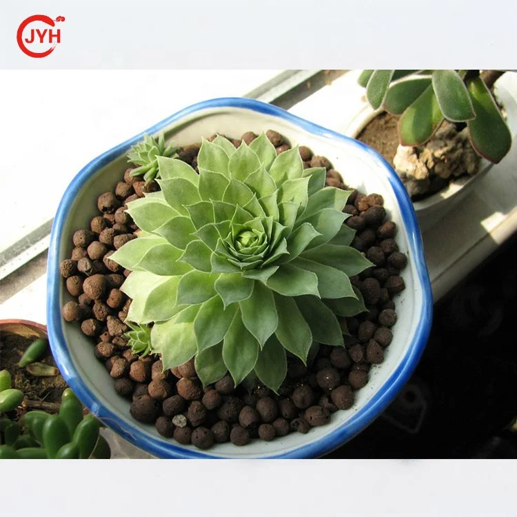 Hot selling 4-8mm red hydroponics clay pebbles ceramsite LECA