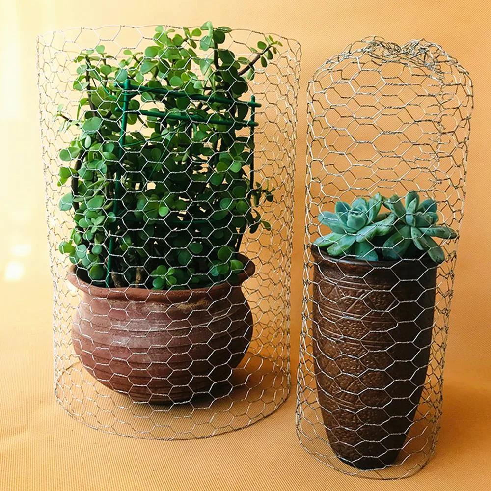 1/2' hole size chicken wire netting / heavy galvanized fish trap hexagonal wire mesh